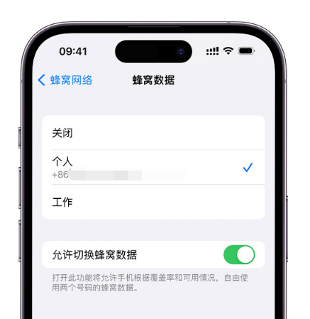 嘉积镇苹果维修服务分享如何在iPhone上使用双卡 